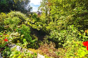 Photo 35- click for photo gallery